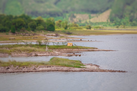 landscape view of the river in the countryside in thailand.の写真素材