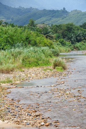 Landscape of a river flowing through the mountains with rocks and vegetationの写真素材
