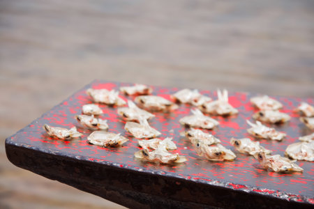 A small fish dried on the boat.の写真素材