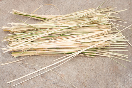 Bamboo cut into small strips for wickerwork