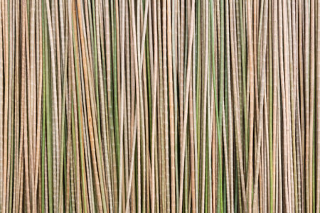 Dried Krajud Tree, for the production of wickerwork