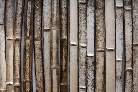 Bamboo wall background texture. Bamboo wall texture. Bamboo wall backgroundの写真素材