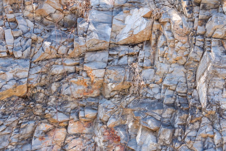 Closeup of the surface of the rock. Natural background and texture.の写真素材
