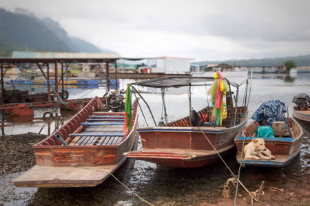 Boats on the shore of the River in thailandの写真素材
