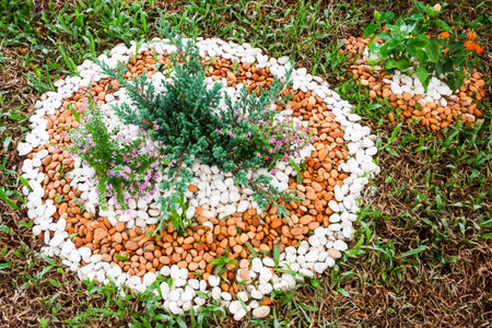 Garden decoration with flower in the garden. Top view of decorative flower in the gardenの素材