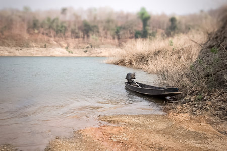 Fishing boat on the river in the countryside.の写真素材