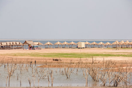 A bamboo gazebo for resting by the lake.の写真素材