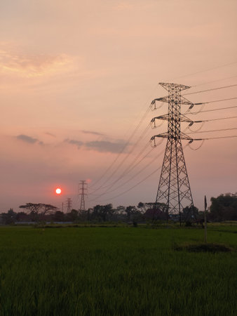 High voltage post and pylon in the rice field at sunset.