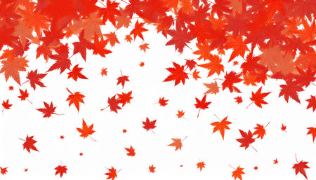 Maple autumn leaves on white background with copy space for your textのイラスト素材
