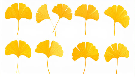 Ginkgo biloba leaves isolated on white background. Vector illustration.のイラスト素材