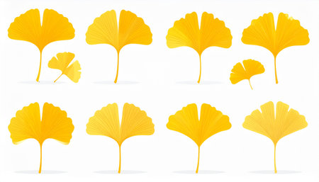 Ginkgo leaves set isolated on white background. Vector illustration.のイラスト素材