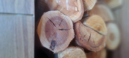 Round logs stacked and ready for processing at a lumber mill