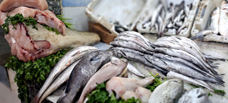 Freshly caught mixed fish and seafood are displayed on a bed of parsley at a market, offering a variety of choices for customersの写真素材