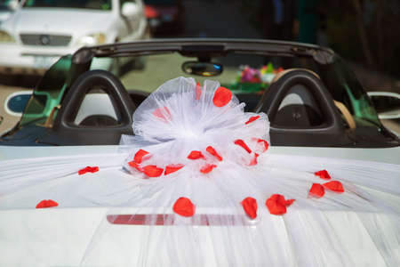 Wedding car back view and petals on topの写真素材