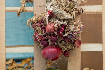 Autumn backgrounds. Fringed onions on the fencesの写真素材