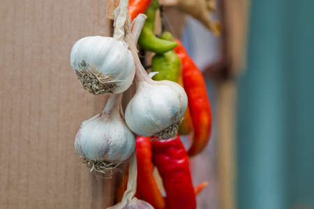 Still life of garlic onion pepper and spice isolatedの写真素材