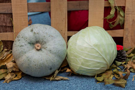 Round white pumpkin and cabbage . Pumpkin d cor with autumn cracks . Pumpkin in autumnの写真素材