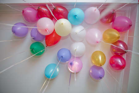 Colorfull balloons float on the white ceiling in the room for the party. Wedding or children...
