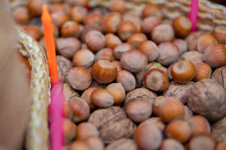 Close-up of walnuts and hazelnuts as background . Mix of hazelnut and walnuts with hard shell ....