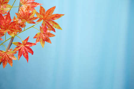 Close up of the red and orange plastic artificial leaves on tree branches with blur and bokeh background decorating on the autumn festival event in outdoor park as autumn background.Selective focus.の写真素材