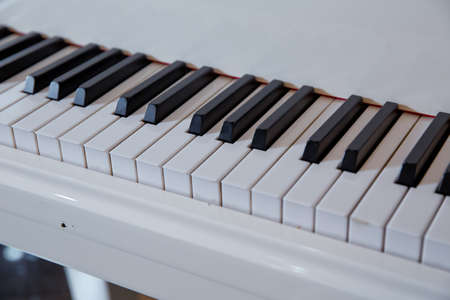 grand piano keyboard with glossy black and white keys as a music background in wide panoramic banner...
