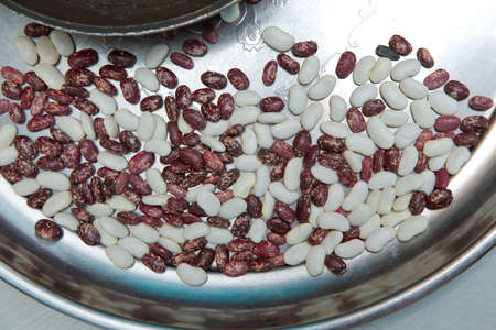 Red and white beans .Texture background red dotted beans. Product Image red and white beans