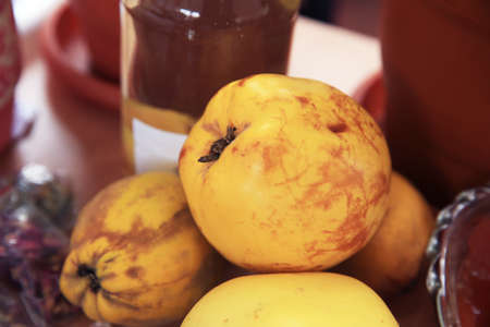 Ripe quinces from traditional agriculture . Harvest ripe quinces collected in boxes .Quince Cydonia oblonga fruits background. Quinces are used also in culinary, juice production etc. in Caucasusの写真素材