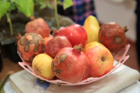 Pomegranate and apple in a plastic bowl.Red apples with dry leaves and red pomegranates piled in...