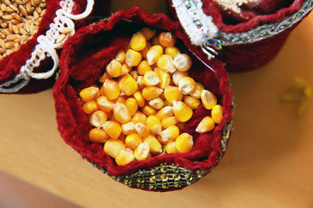 tasacks with autumn agricultural harvest - corn . corn seeds . Corn seeds in burlap . Close up dry...