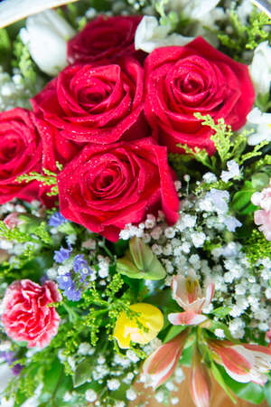 Bouquet of fresh red, white , orange roses . bouquet of multicolored roses . Red flower picture close up in the bouquet. The flower's petalの写真素材