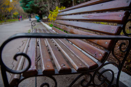 Empty Park wooden bench Closeup view. Wood exterior material. Wood material details. Blank Old bench in a shady area of the garden or the park,outdoor. Shaded wood park bench surrounded by greeneryの写真素材