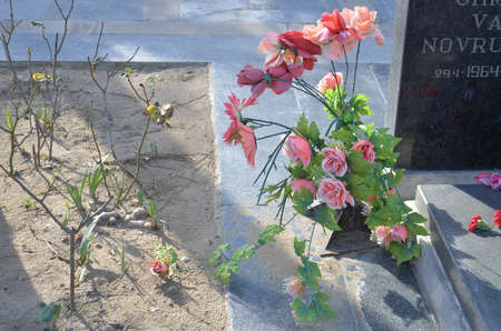 Azerbaijan, Baku, January 20, 2011. People visiting Alley of Martyrs on anniversary of 20th January tragedy when Soviet Army attacked Baku in 1990, killing 137 people, wounding 744のeditorial素材