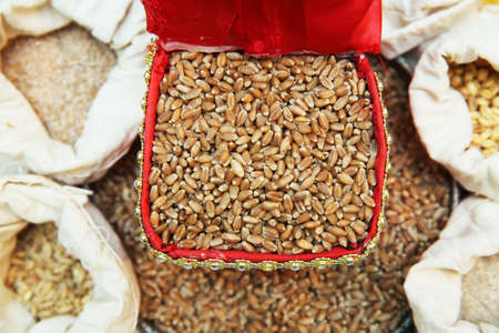 wheat in a red box . Wheat grain in a square box