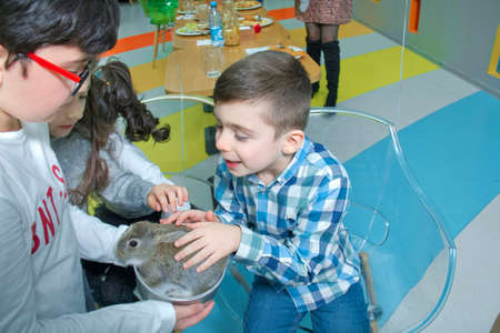 Baku, Azerbaijan. 02.04.2019 . The child is holding a rabbit . Happy young girl holding rabbit . Children play with real rabbit. The child caresses the rabbit.のeditorial素材
