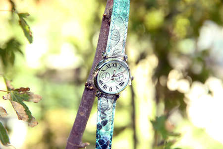 Green Watch green background . The green Watch is placed on a tree branch .の写真素材