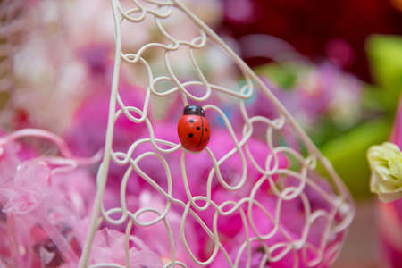 VINTAGE RARE FRENCH GALALITH BAKELITE PIN BROOCH LADYBUG RED BLACK RHINESTONE . Macro shot of isolated red ladybirdの写真素材