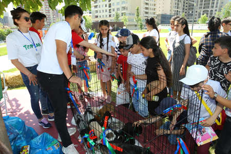 BAKU, AZERBAIJAN - JUNE 1 2019 : Kids festival . In park of Heydar Aliyev Center. Kids look at dogsのeditorial素材