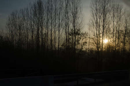 The sunrise near our house was especially interesting one chilly morning . Fog moves through trees at sunrise, timelapse . Silhouette landscape of frozen bare trees against the sunの写真素材