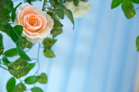 Green leaves and pink Artifical flower over blue background. With area for copy space, text, words, graphic design. Macro detail of green leaf texture.の写真素材