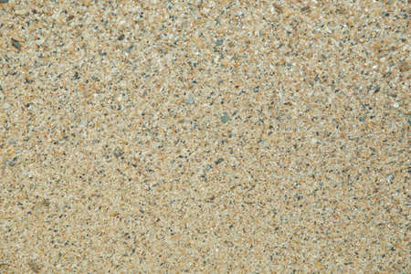 Sand texture background, Small shells Broken coral , natural sand at the beach close up. Shells of many types and sizes are found on our shelling beaches. at the sunset and warm tone.の写真素材