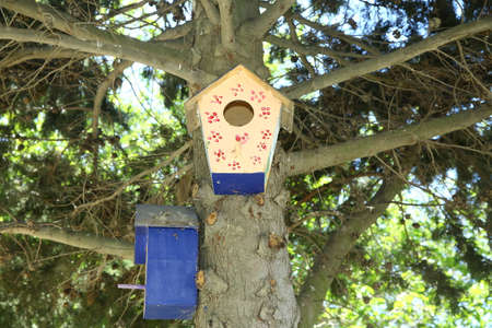 Wooden birdhouse for birds in a tree. Handmade Feeder for bird in winter forest. Caring for wild animals in difficult season . Little birdhouse on the tree .の写真素材