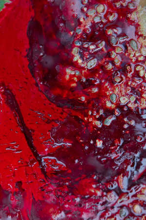Real Red blood background . Real animal blood, gore close up macro shot for background . After the sheep was slaughtered, the blood spilled on the ground.の写真素材