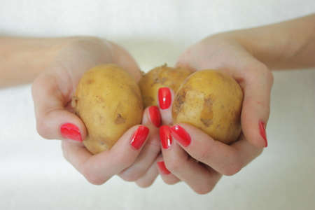 Manicure and potatoes. Young potatoes in beautiful handsの写真素材