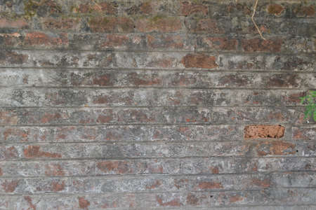 brick wallの写真素材