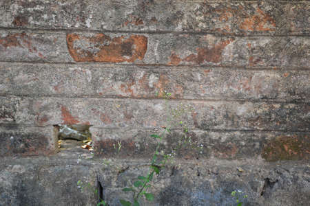 vintage bricks wallの写真素材