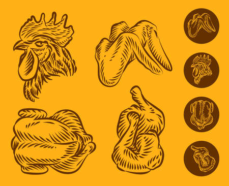 Set of Macaroni pasta vector illustrationのイラスト素材