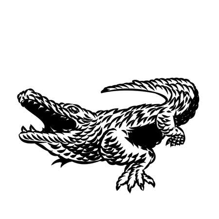 Illustration of alligator vintage iconのイラスト素材
