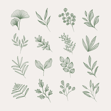 Set of abstract hand drawn leave shape. Abstract contemporary modern trendy vector illustration. for Mobile Application or Social Media Design. Leaf Illustration. All elements are isolatedのイラスト素材