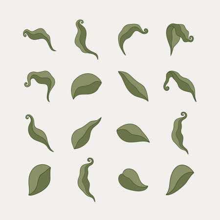 Set of abstract hand drawn doodle leave shape. Abstract contemporary modern trendy vector illustration. for Mobile Application or Social Media Design. Leaf Illustration. All elements are isolatedのイラスト素材