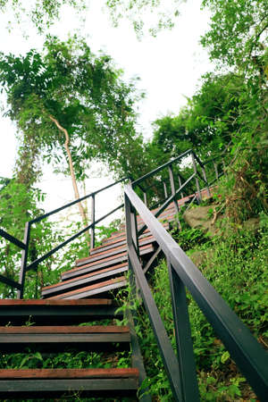 wooden stairs going up in a forest photo